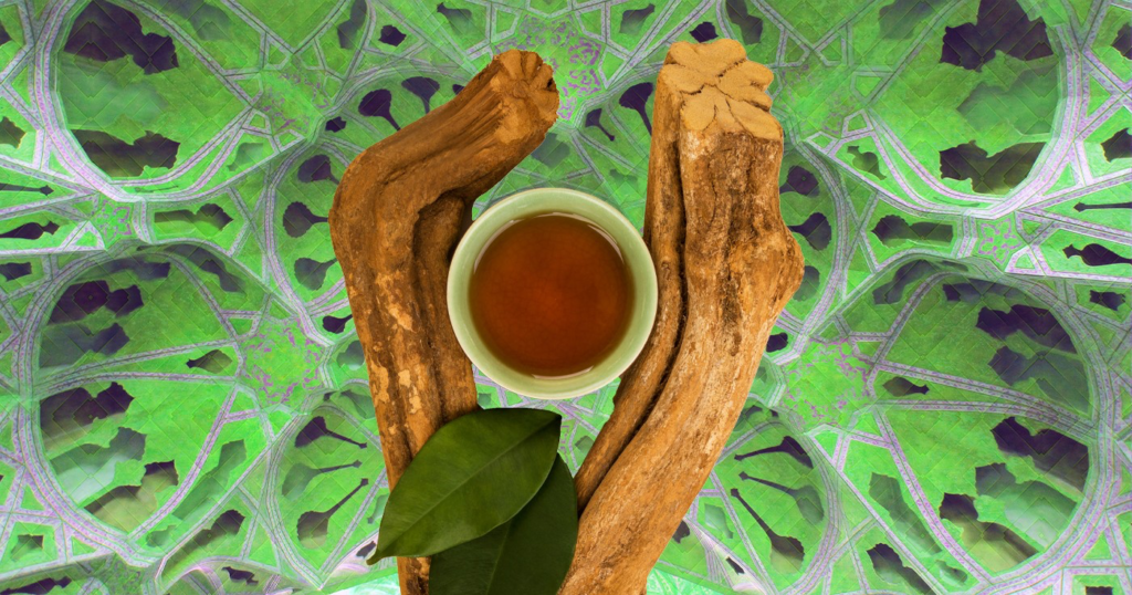 how-many-ayahuasca-rereat-do-i-need